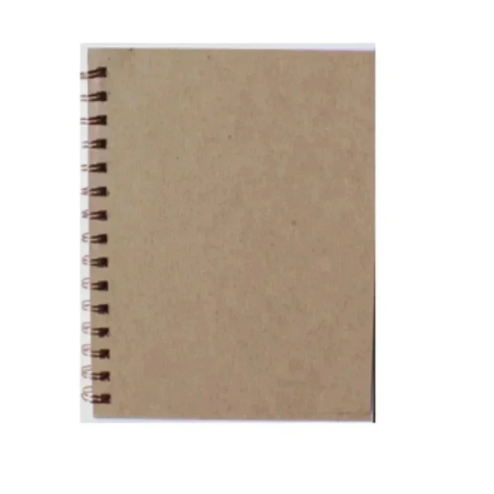 Curtiss Hawk Airplane Aviation Specs Notes Journal College Ruled Spiral Notebook